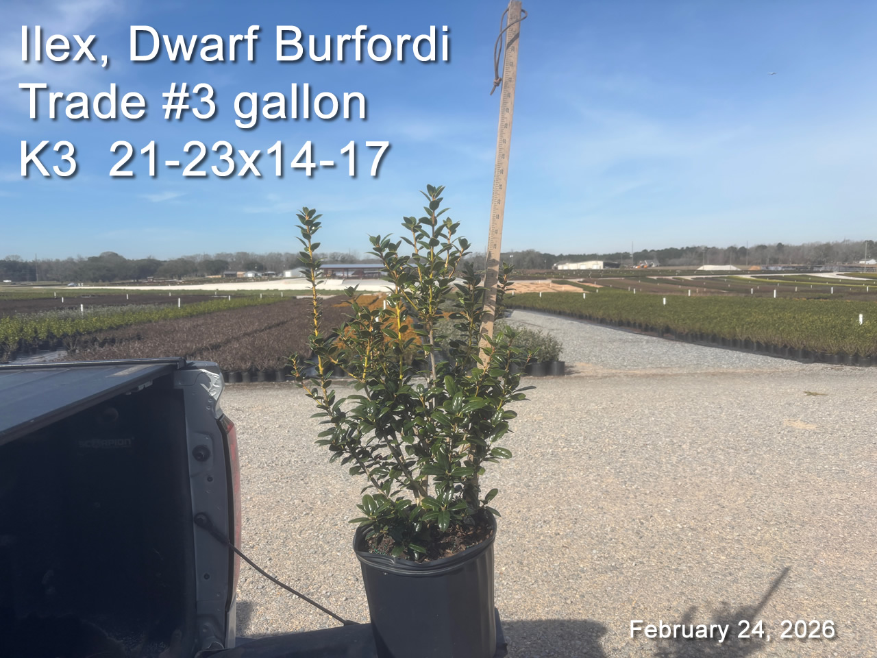 gallery/db3t k3 feb24.jpg